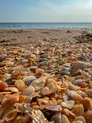 Similar image 22128961