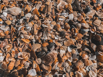 Similar image 22128963