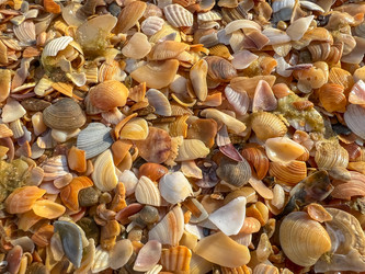 Similar image 22128964