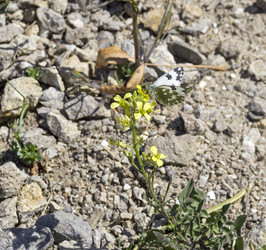 Similar image 22127462