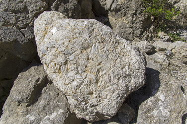 Similar image 22127464