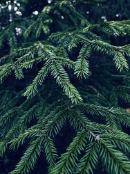 Similar image 22128433