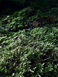 Similar image 22128434