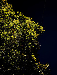 Similar image 22128436