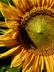 Similar image 22128438