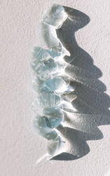 Similar image 22130006