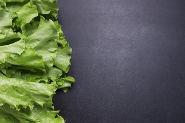 Similar image 22130023