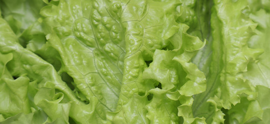 Similar image 22130024