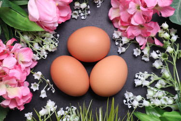 Similar image 22130025