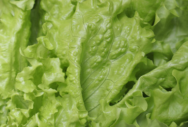 Similar image 22130026