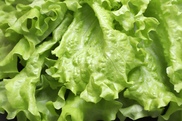 Similar image 22130028