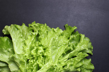 Similar image 22130030