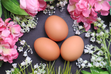 Similar image 22130031