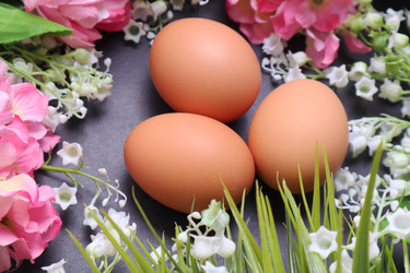 Similar image 22130035