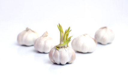 Similar image 22130483