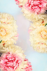 Similar image 22128307