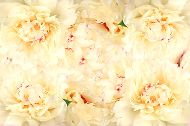 Similar image 22128309