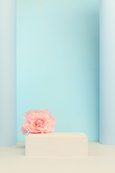 Similar image 22128310