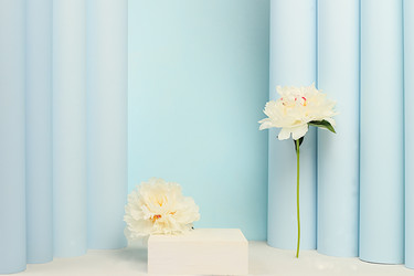 Similar image 22128314