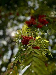 Similar image 22128443