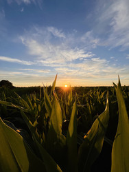 Similar image 22128444