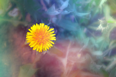 Similar image 22128448