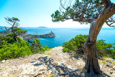 Similar image 22129519