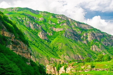 Similar image 22129520