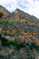 Similar image 22129528