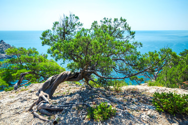 Similar image 22129529