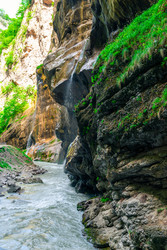 Similar image 22129530