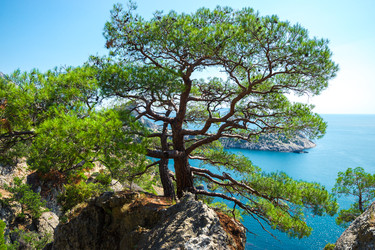 Similar image 22129088