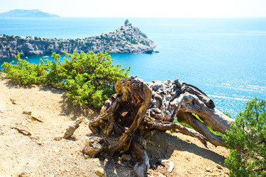 Similar image 22129094