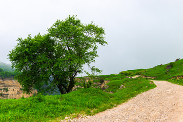 Similar image 22129095