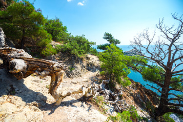 Similar image 22129096