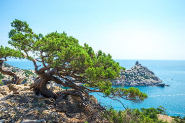 Similar image 22129102