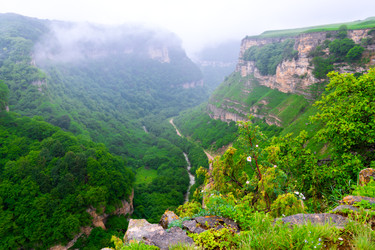 Similar image 22129105