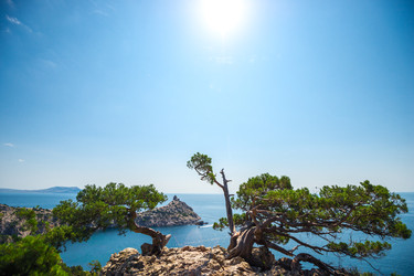 Similar image 22129106