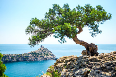 Similar image 22129109