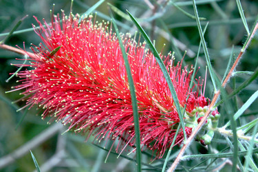 Similar image 22128291