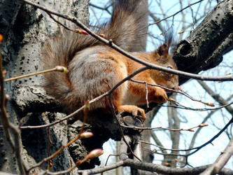 Similar image 22128294