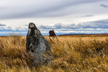 Similar image 22128453