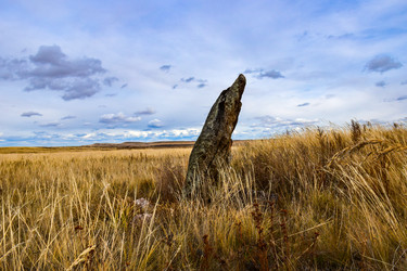 Similar image 22128454