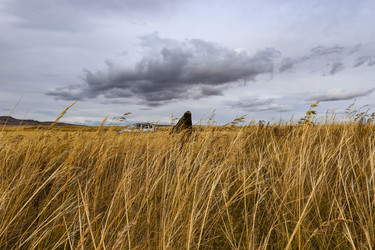 Similar image 22128459