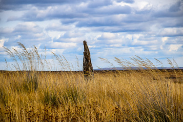 Similar image 22128460