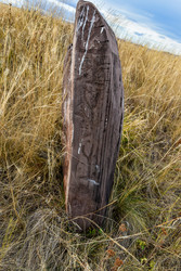 Similar image 22128463