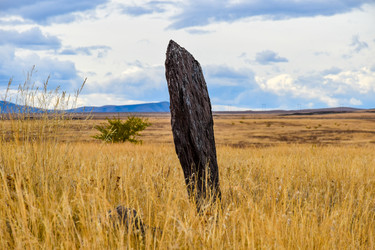 Similar image 22128466