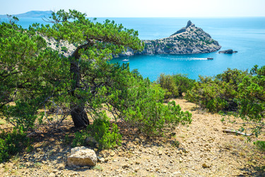 Similar image 22129540