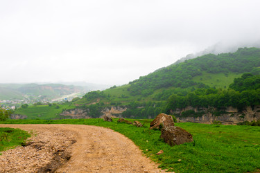 Similar image 22129546