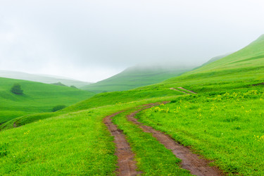 Similar image 22129552